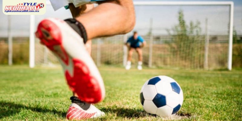 Cách tính thưởng trong kèo bóng đá châu Á trên Tylekeonhacai