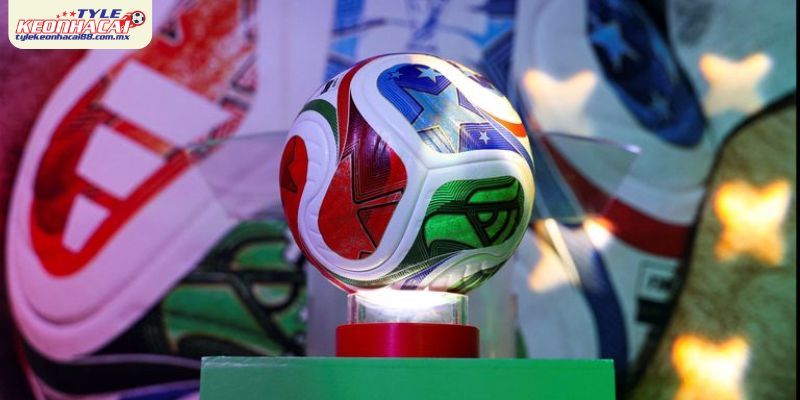 Suất dành cho châu Á, châu Phi và khu vực khác