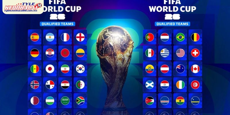 Suất dành cho châu Âu và Nam Mỹ