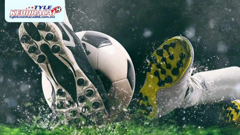 Thay đổi dự đoán theo xu hướng cược của người dùng