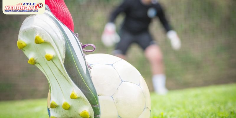 Luật Phạt Đền Mới Nhất