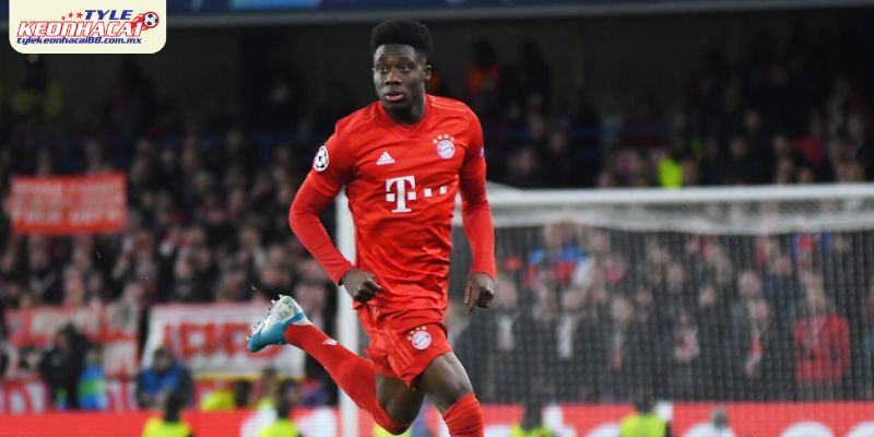 Tốc độ và thể lực bền bỉ