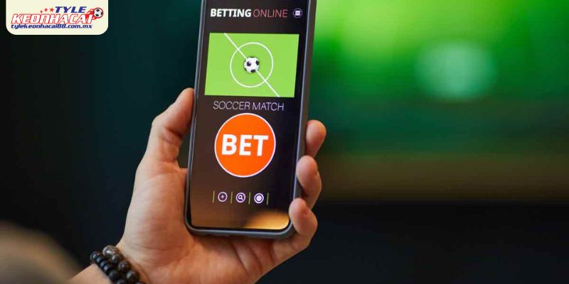 Tổng quan kèo bóng đá châu Âu tại Tylekeonhacai