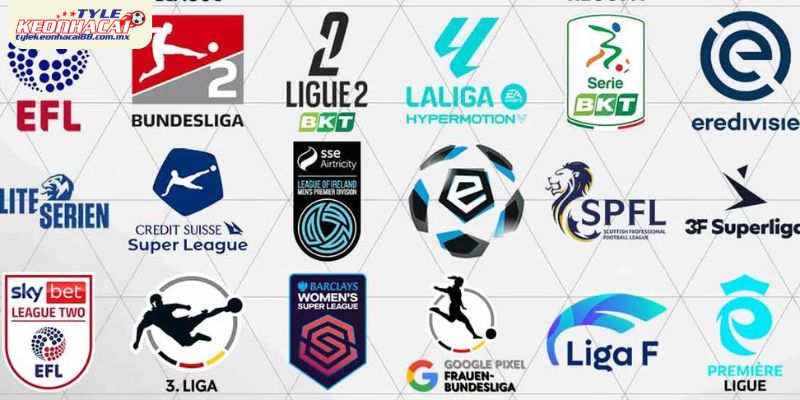 Ưu tiên giải đấu lớn có dữ liệu ổn định