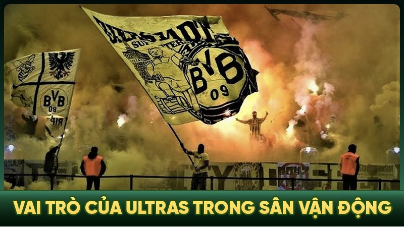 Vai trò của ultras trong sân vận động