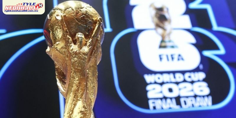 Vòng loại trực tiếp và lộ trình đến chung kết